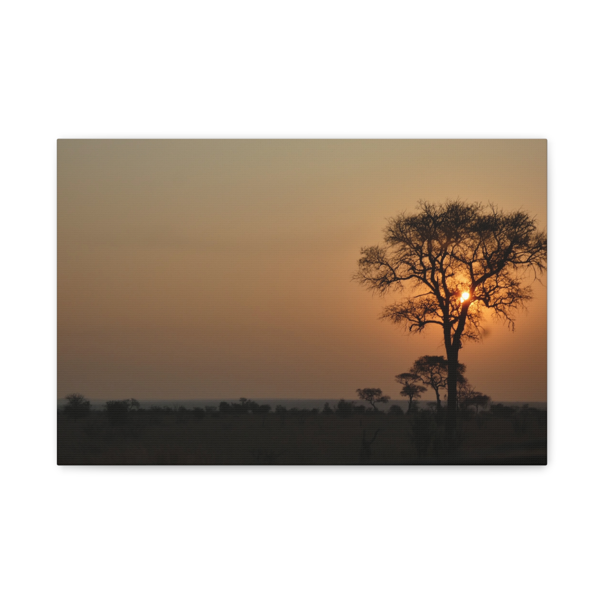 Soul of the Savannah Colection - Matte Canvas, Stretched, 1.25"