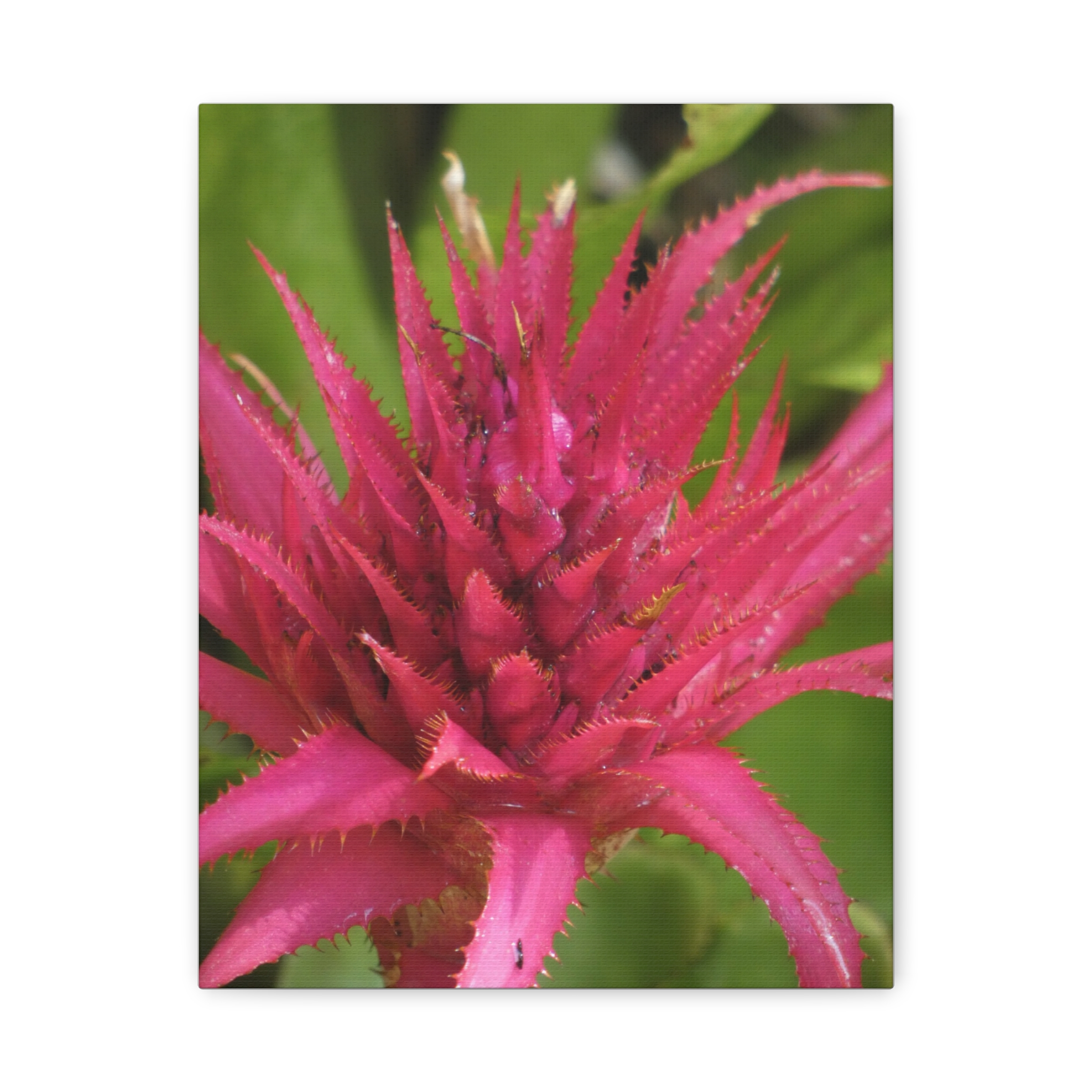 Soul of the Savannah Colection - Matte Canvas, Stretched, 1.25"