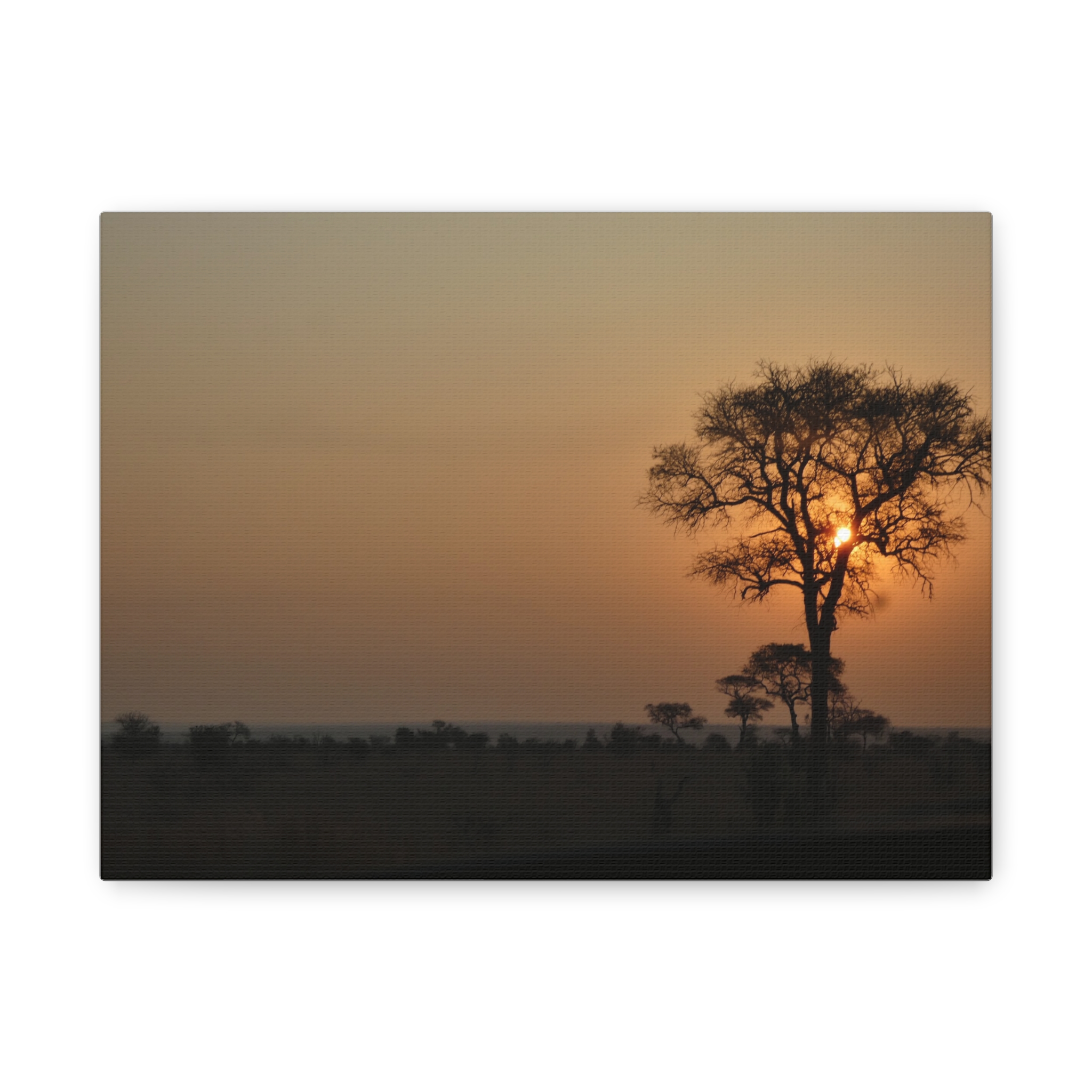Soul of the Savannah Colection - Matte Canvas, Stretched, 1.25"