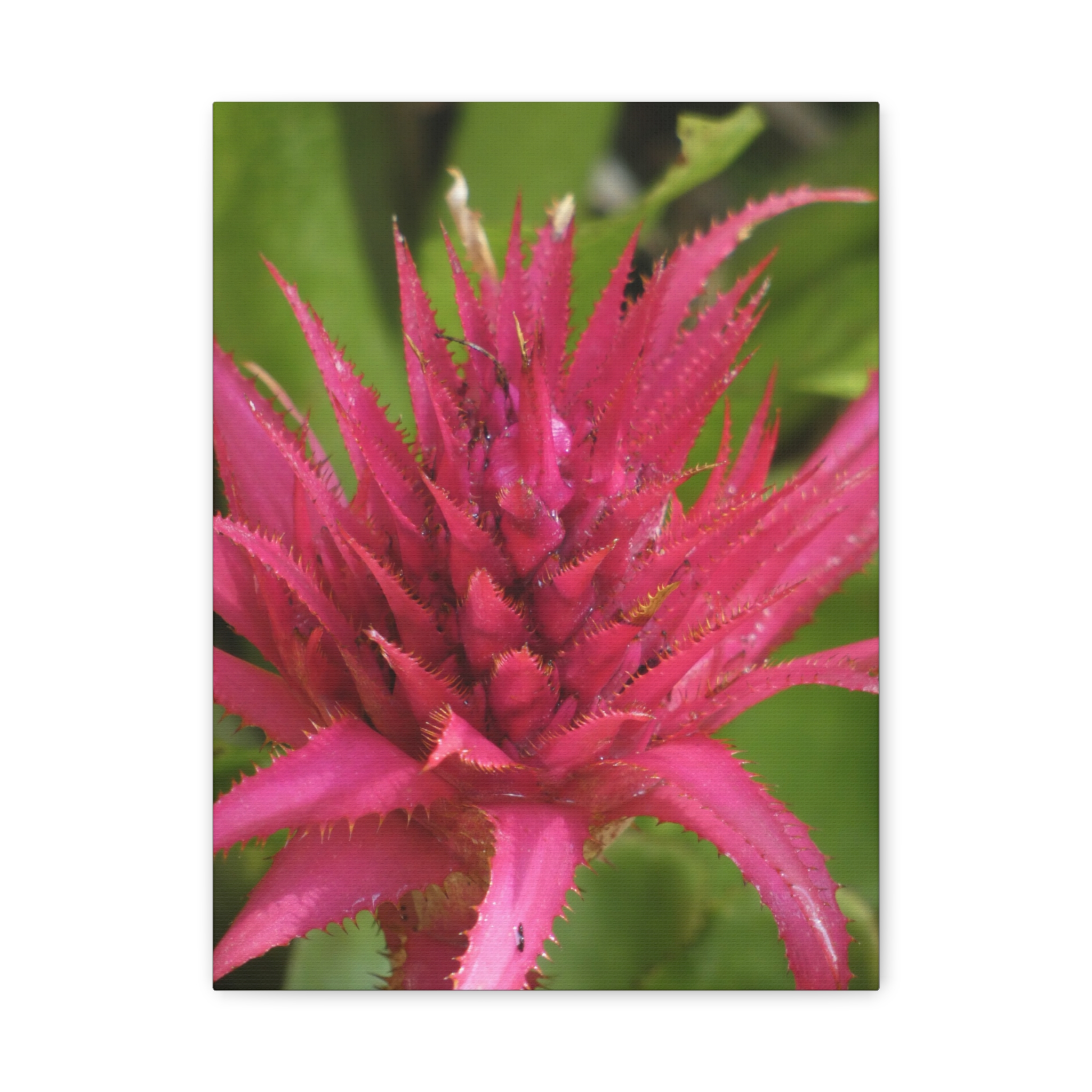 Soul of the Savannah Colection - Matte Canvas, Stretched, 1.25"