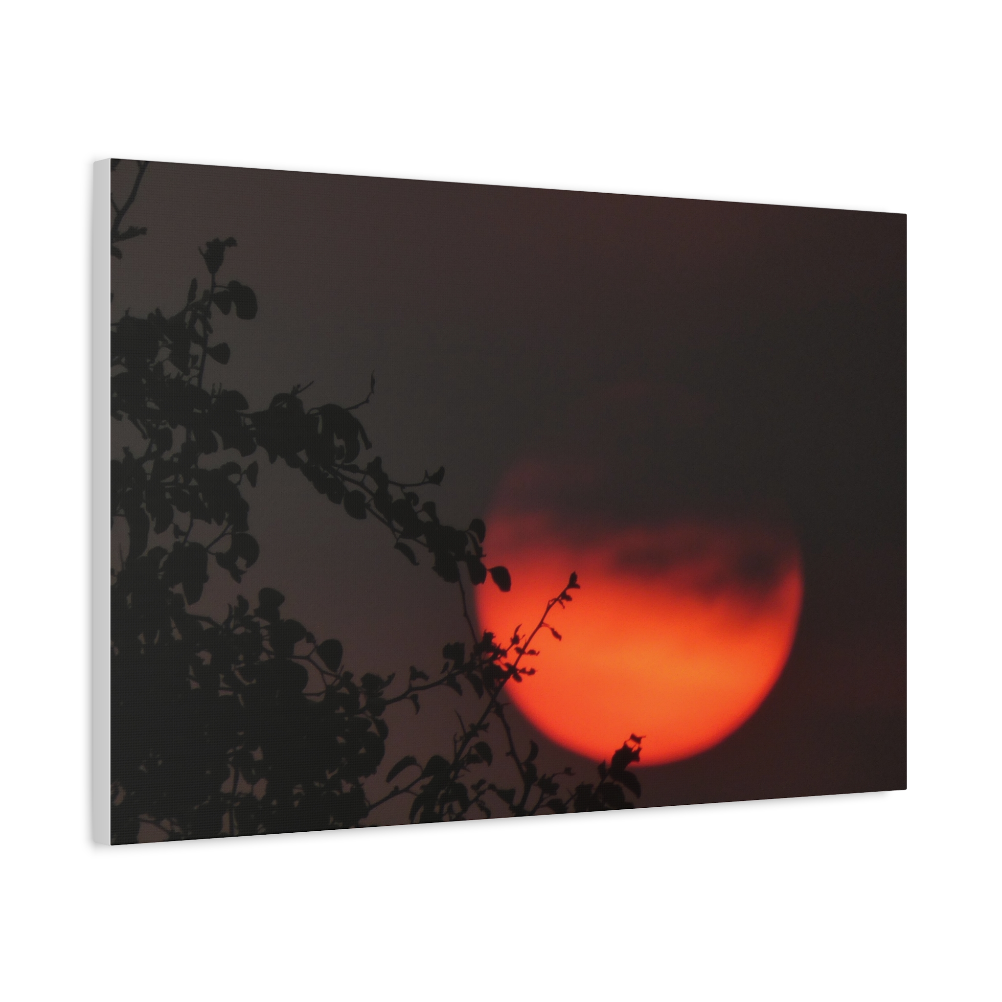 Soul of the Savannah Collection - Matte Canvas, Stretched, 1.25"