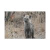 Soul of the Savannah Collection - Matte Canvas, Stretched, 1.25"