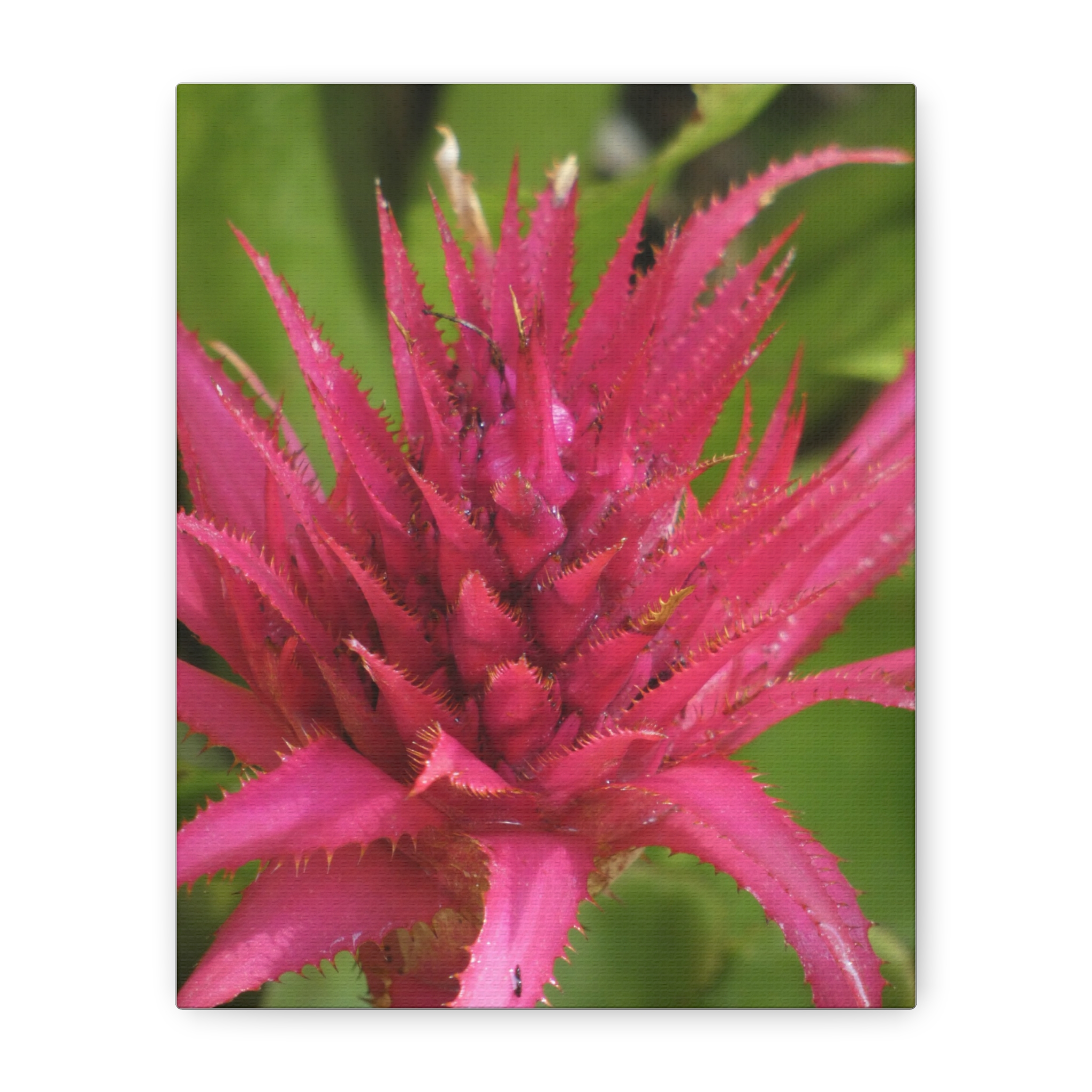 Soul of the Savannah Colection - Matte Canvas, Stretched, 1.25"