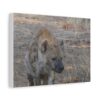 Soul of the Savannah Collection - Matte Canvas, Stretched, 1.25"