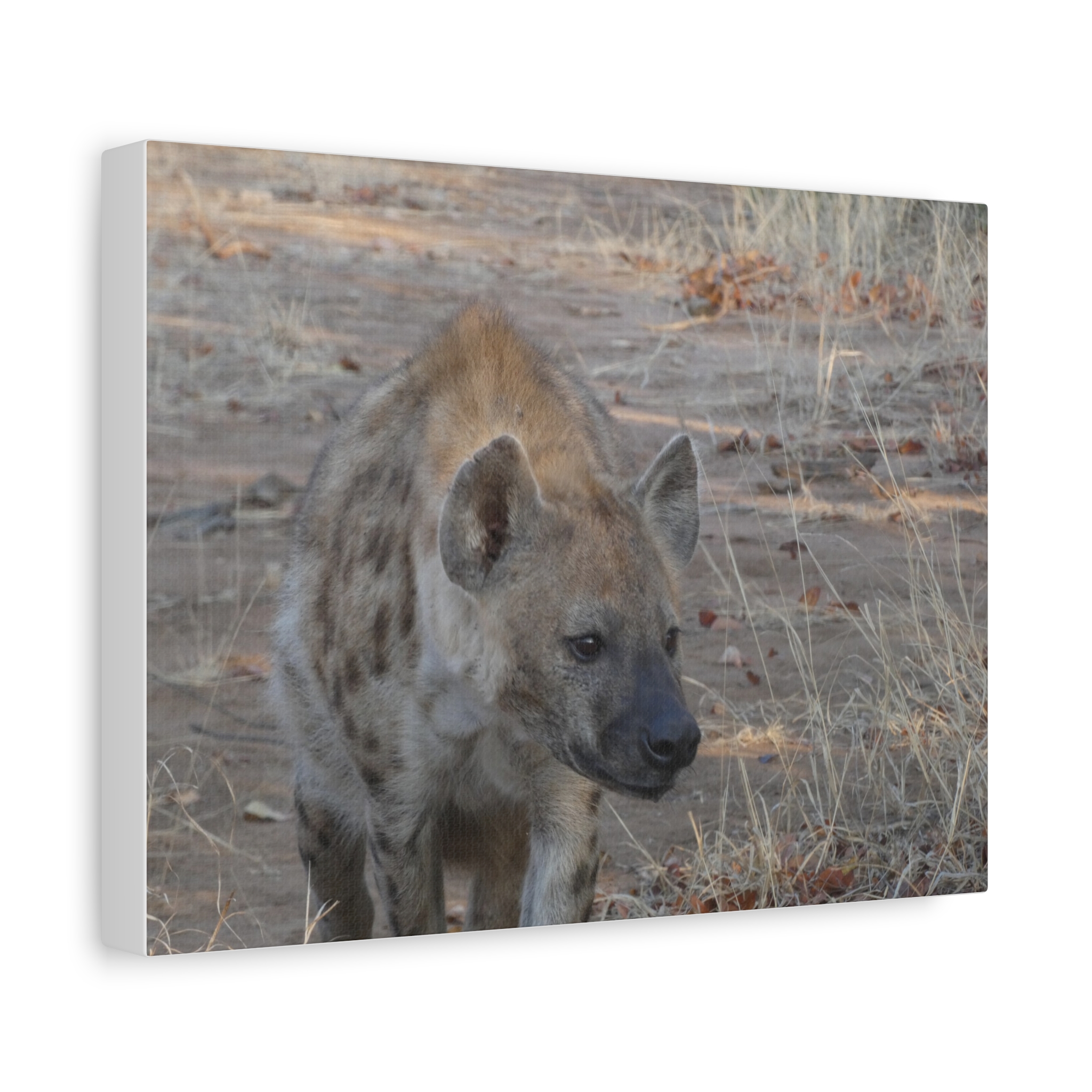 Soul of the Savannah Collection - Matte Canvas, Stretched, 1.25"