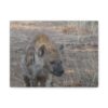 Soul of the Savannah Collection - Matte Canvas, Stretched, 1.25"
