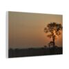 Soul of the Savannah Colection - Matte Canvas, Stretched, 1.25"