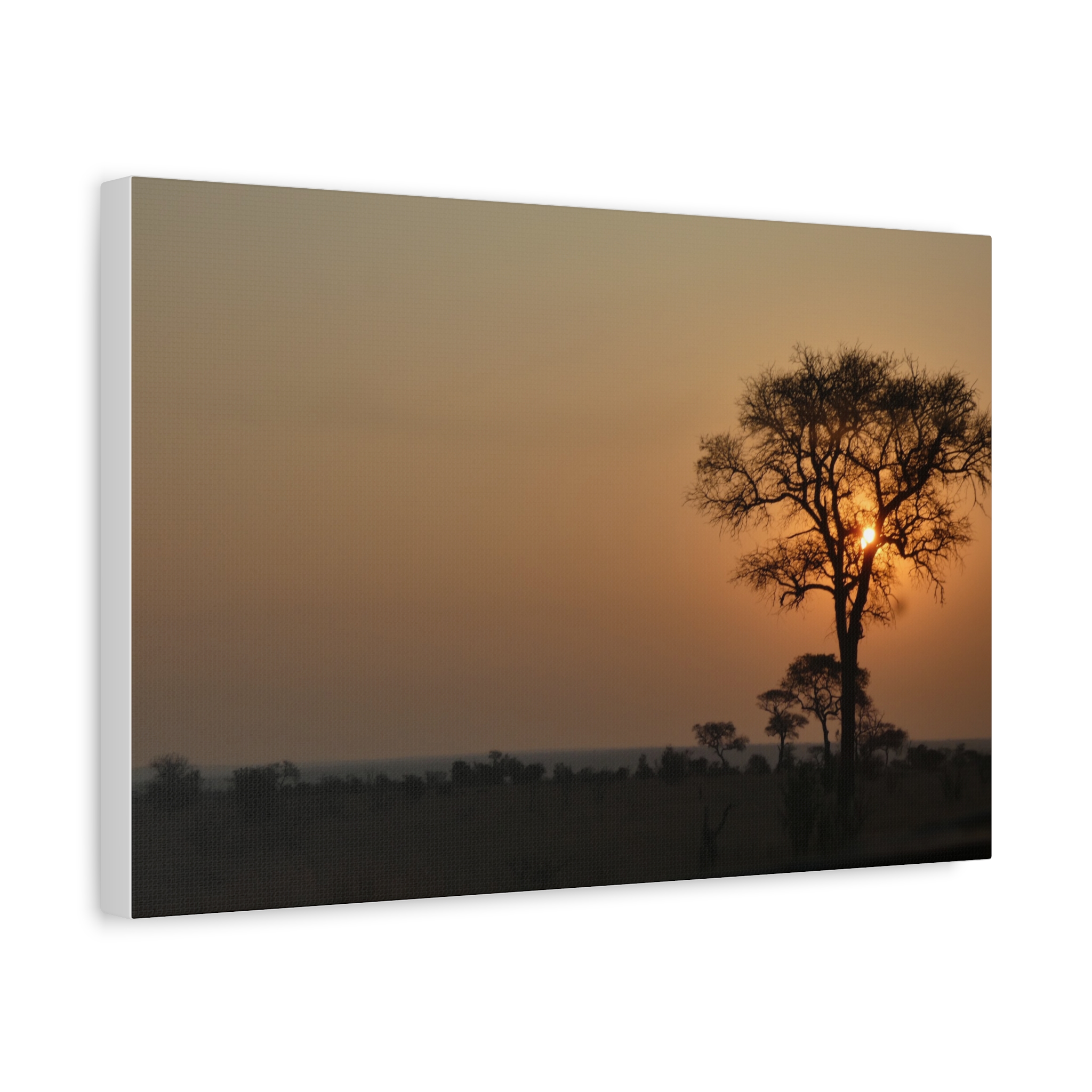 Soul of the Savannah Colection - Matte Canvas, Stretched, 1.25"