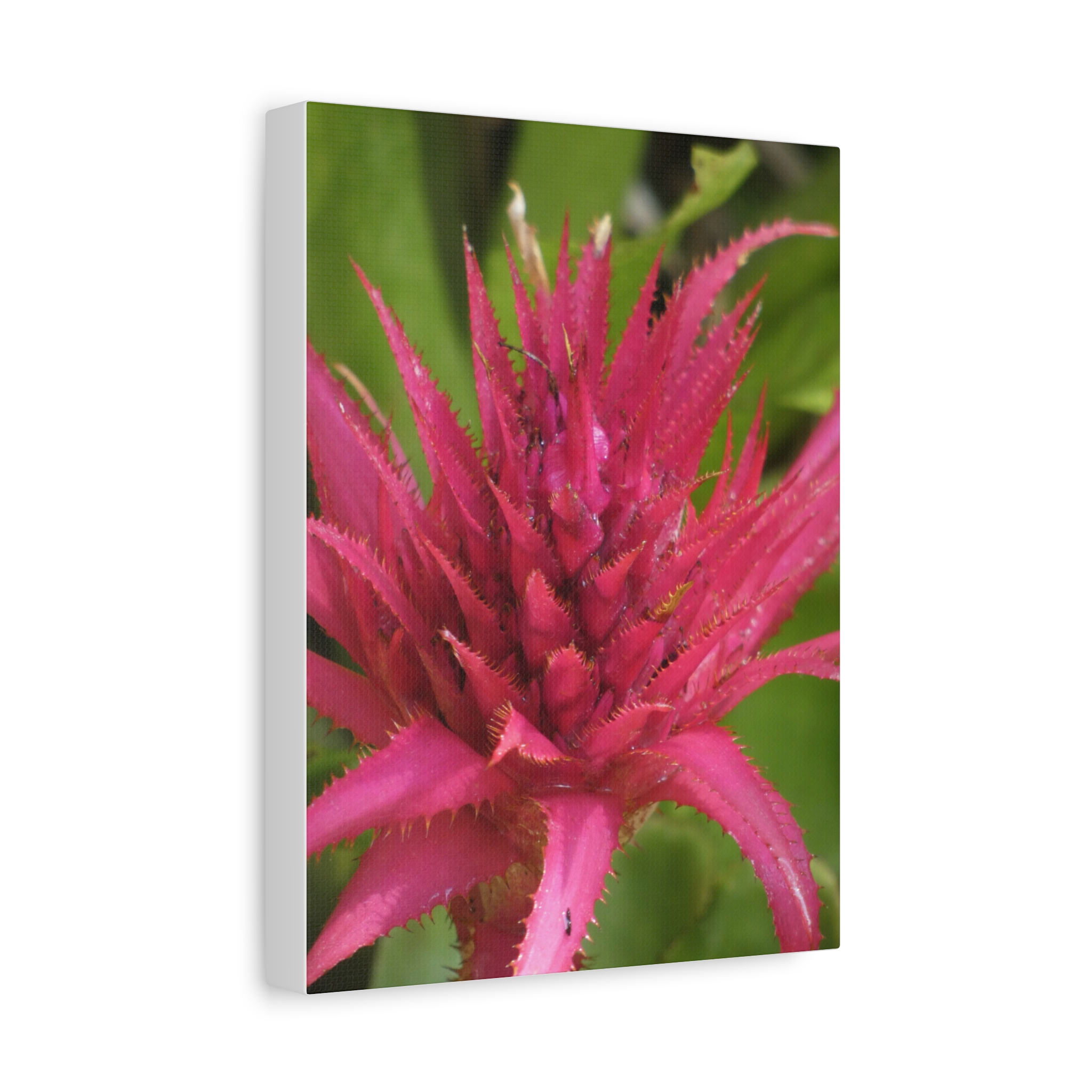 Soul of the Savannah Colection - Matte Canvas, Stretched, 1.25"