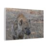 Soul of the Savannah Collection - Matte Canvas, Stretched, 1.25"