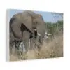 Soul of the Savannah Collection - Matte Canvas, Stretched, 1.25"
