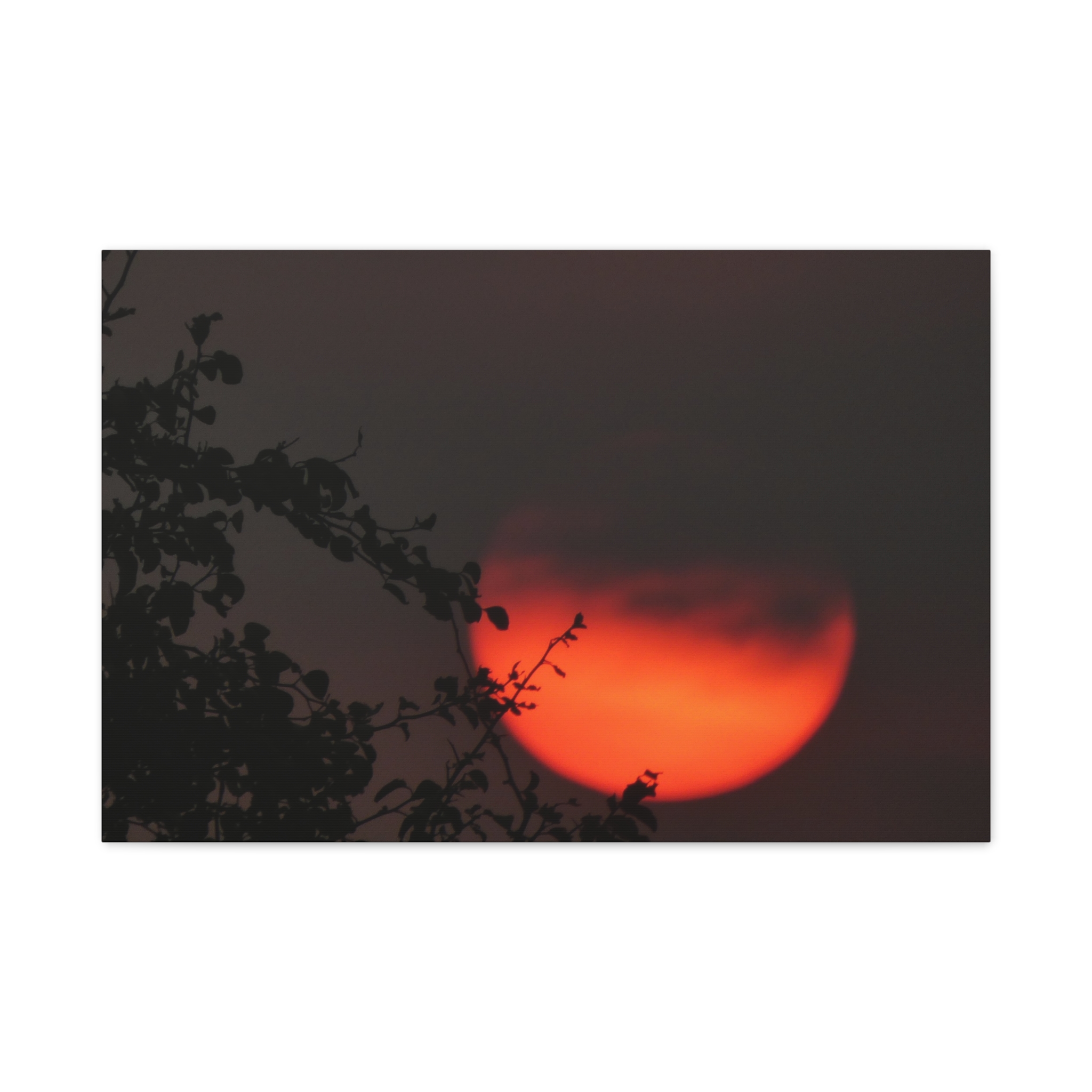 Soul of the Savannah Collection - Matte Canvas, Stretched, 1.25"