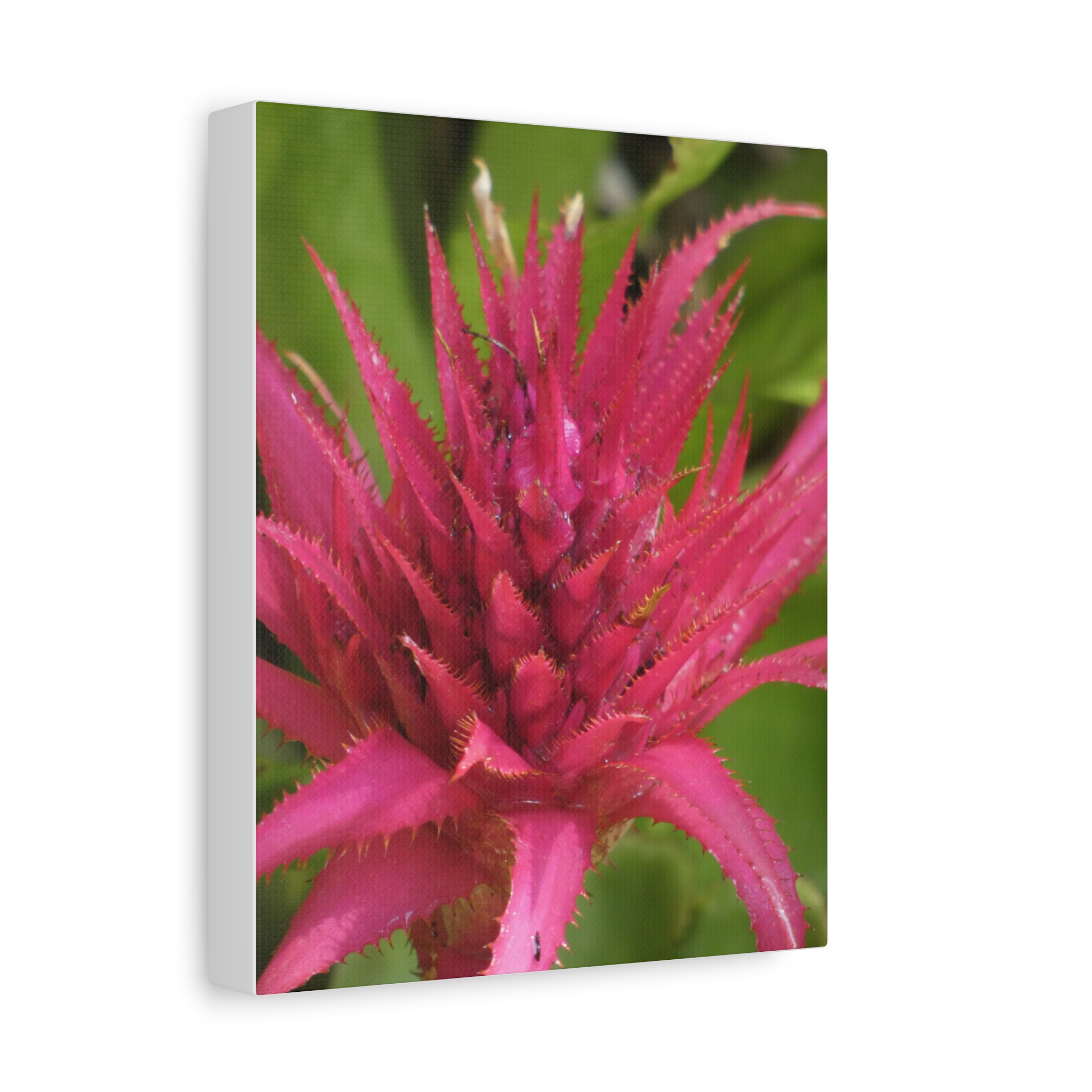 Soul of the Savannah Colection - Matte Canvas, Stretched, 1.25"