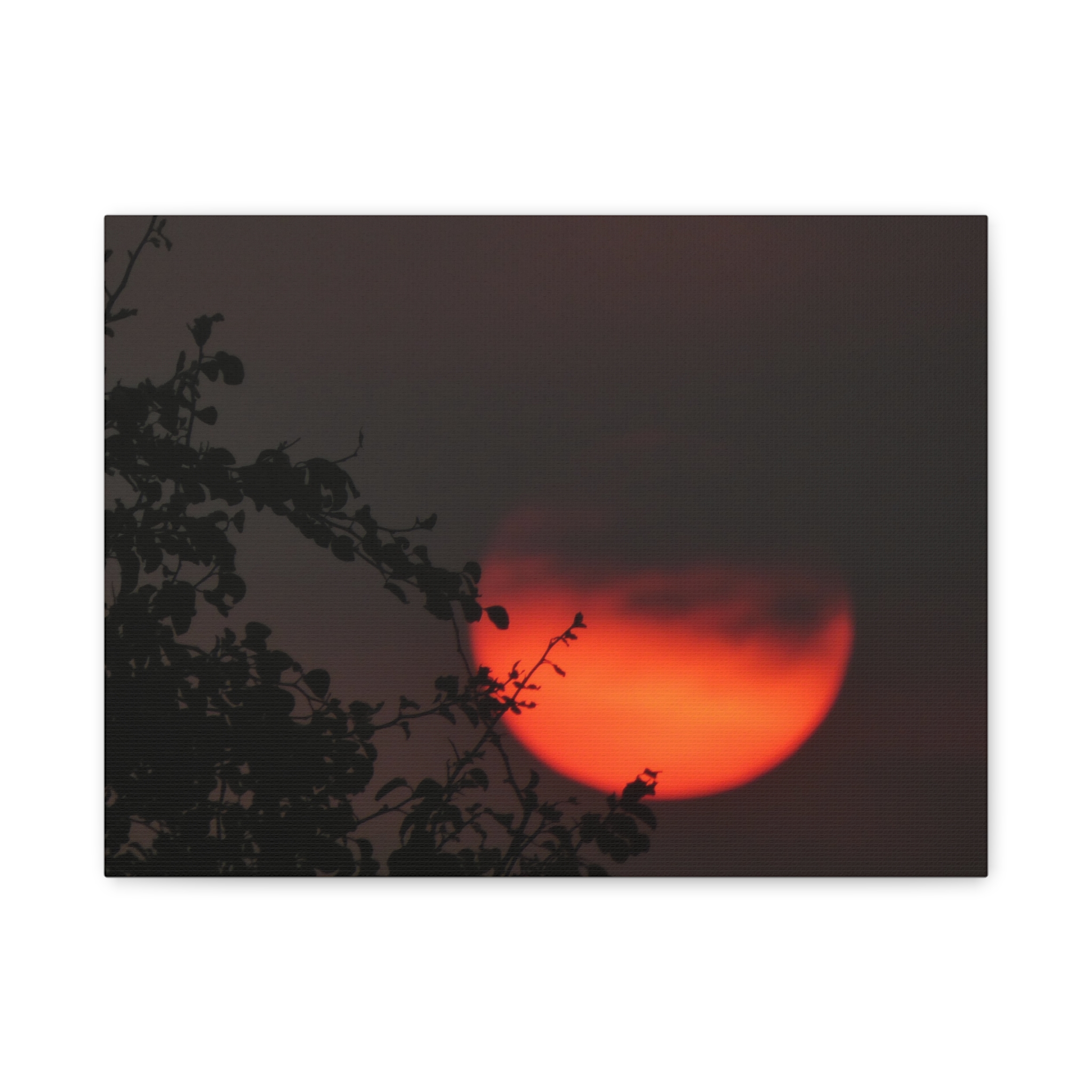 Soul of the Savannah Collection - Matte Canvas, Stretched, 1.25"