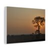 Soul of the Savannah Colection - Matte Canvas, Stretched, 1.25"