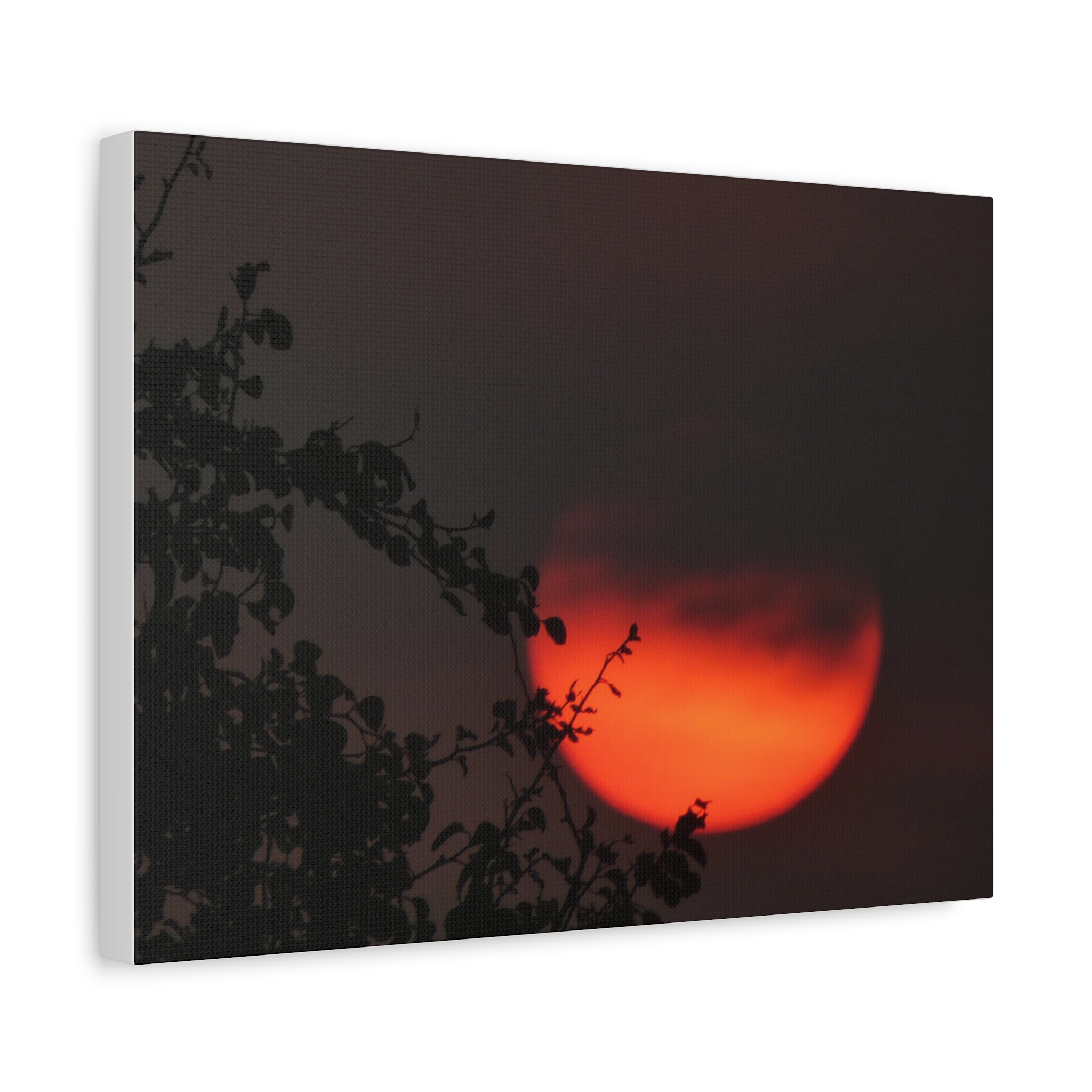 Soul of the Savannah Collection - Matte Canvas, Stretched, 1.25"