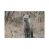 Soul of the Savannah Collection - Matte Canvas, Stretched, 1.25"