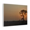 Soul of the Savannah Colection - Matte Canvas, Stretched, 1.25"