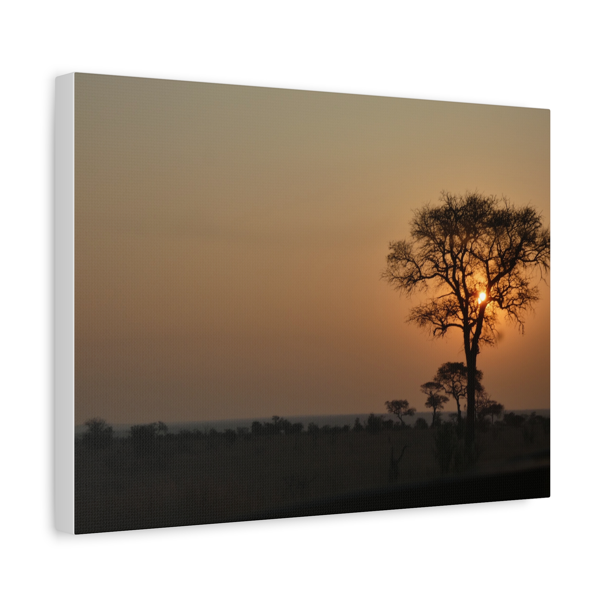 Soul of the Savannah Colection - Matte Canvas, Stretched, 1.25"