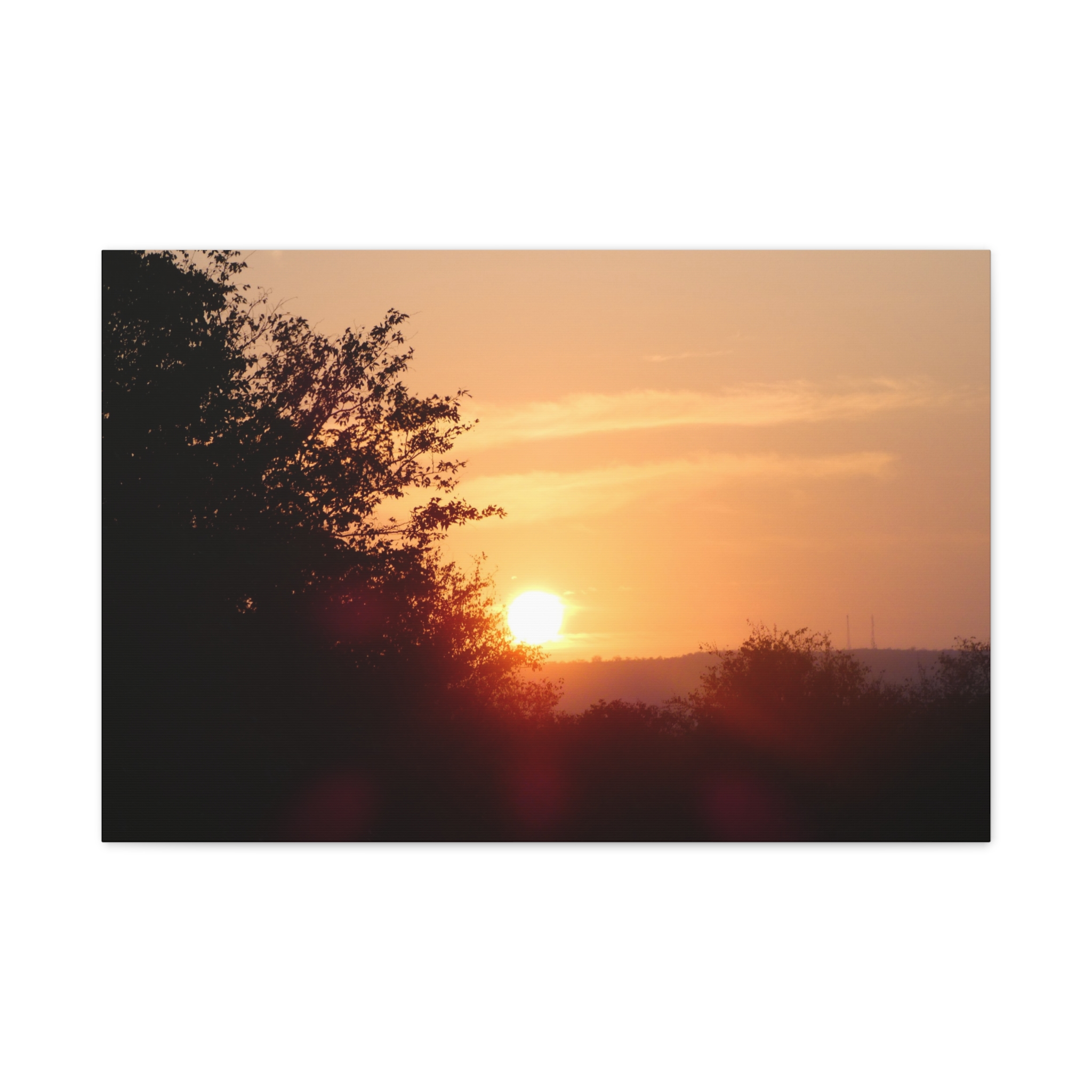 Soul of the Savannah Collection - Matte Canvas, Stretched, 1.25"