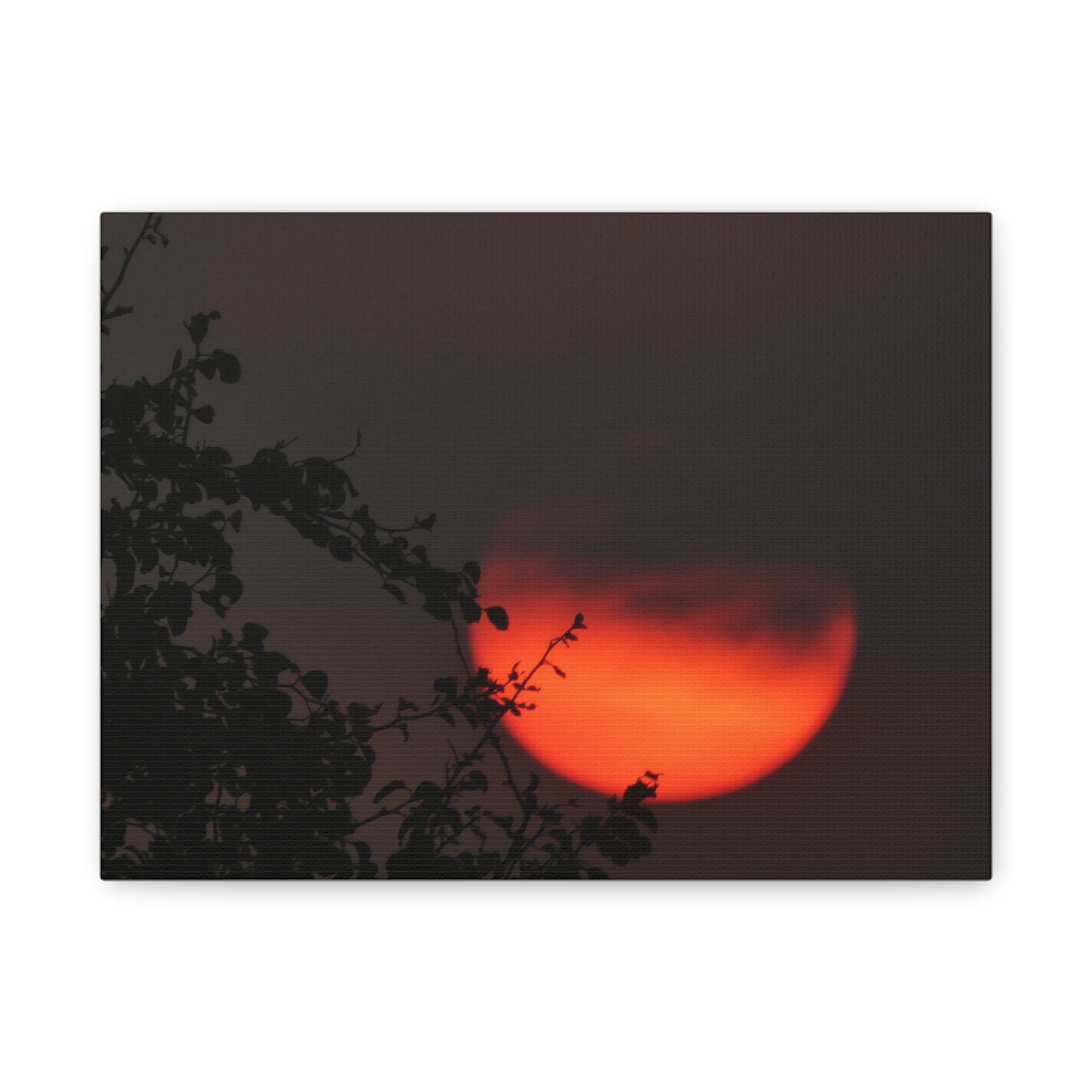 Soul of the Savannah Collection - Matte Canvas, Stretched, 1.25"