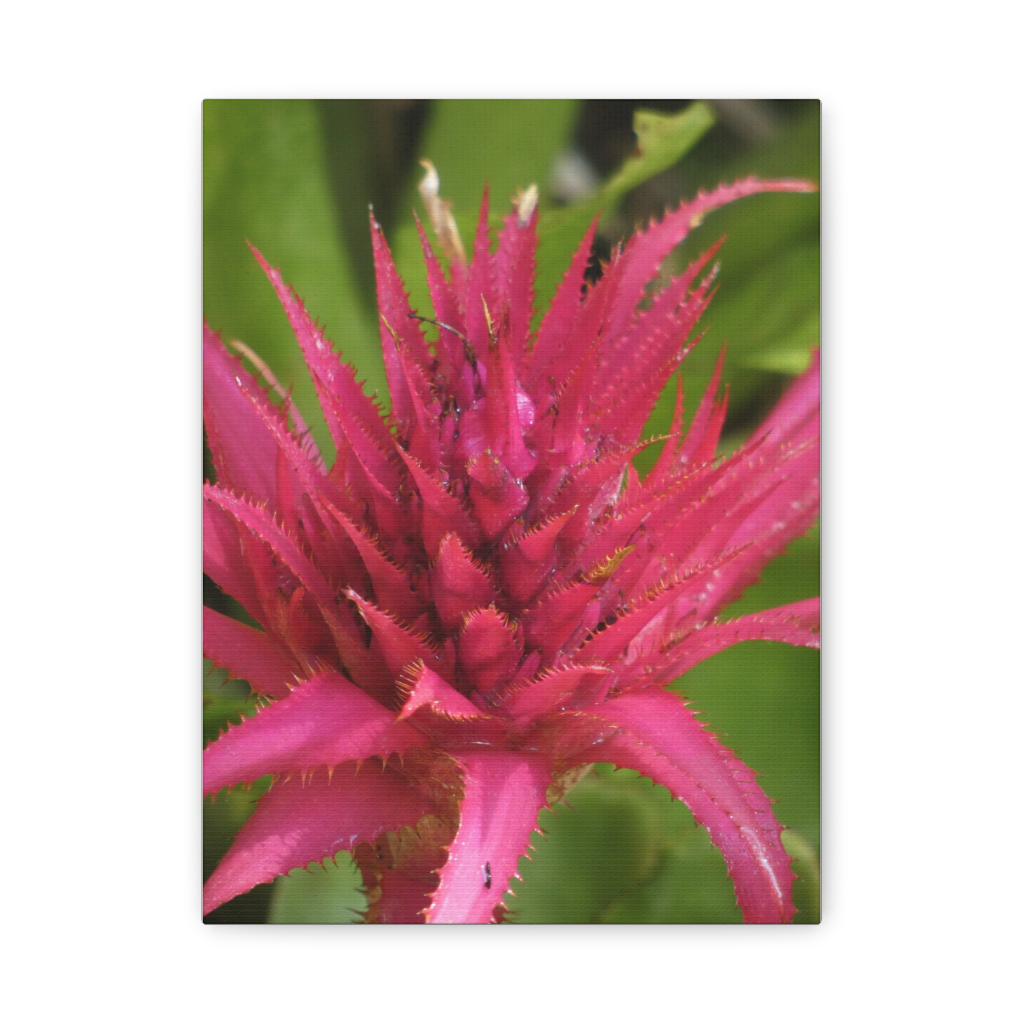 Soul of the Savannah Colection - Matte Canvas, Stretched, 1.25"