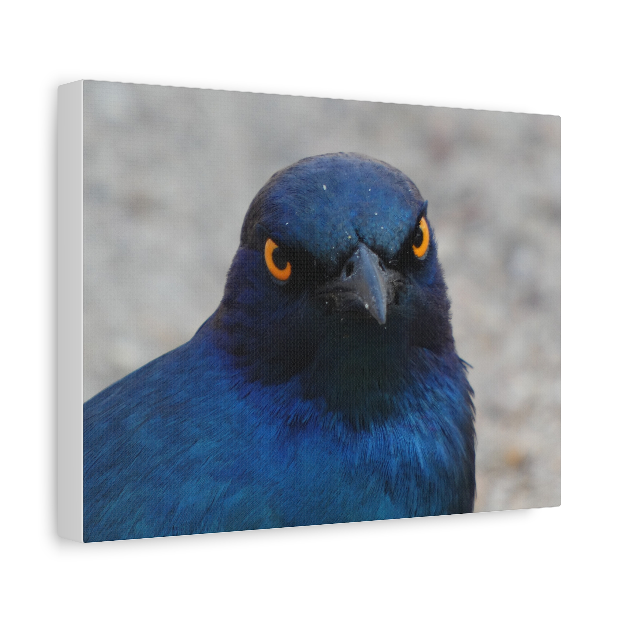 Soul of the Savannah Collection - Matte Canvas, Stretched, 1.25"