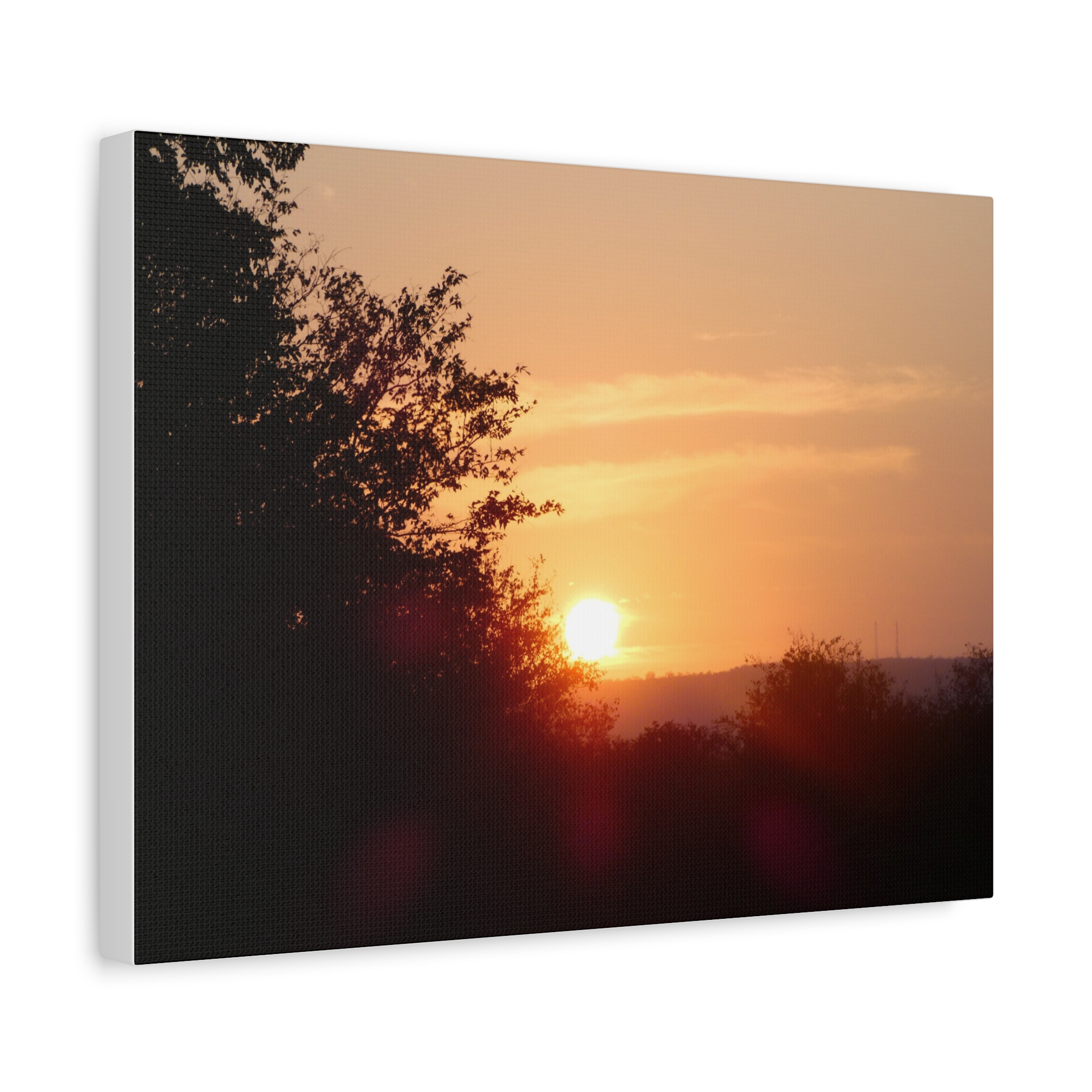 Soul of the Savannah Collection - Matte Canvas, Stretched, 1.25"